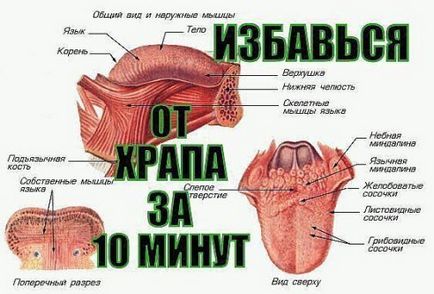 Що робити, якщо чоловік або дружина хропе 7 корисних порад, як захистити себе від хропіння чоловіка