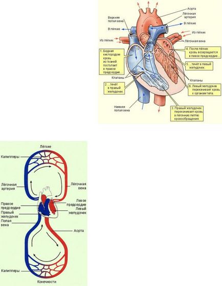 Care sunt numerele de tensiune arterială