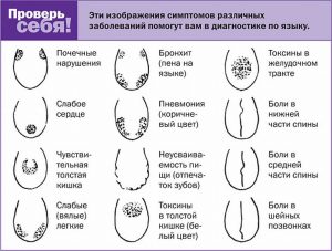 Ez a fogak mesélni egészségügy, egészségügyi ábécé (orális) Ez a fogak mesélni egészségügy, egészségügyi ábécé