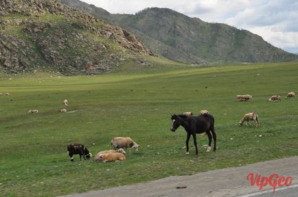 Autostrada Chuisky de la Shebalino, prin Seven Pass, până la atracțiile și fotografiile din Chike-Taman