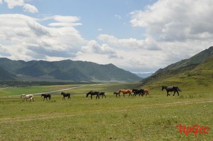 Autostrada Chuisky de la Shebalino, prin Seven Pass, până la atracțiile și fotografiile din Chike-Taman