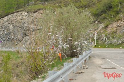 Autostrada Chuisky de la Shebalino, prin Seven Pass, până la atracțiile și fotografiile din Chike-Taman