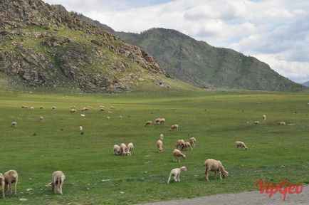 Autostrada Chuisky de la Shebalino, prin Seven Pass, până la atracțiile și fotografiile din Chike-Taman