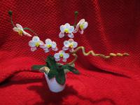 Flowers beadwork - magazin on-line de produse de broderie si lucrare de gravat