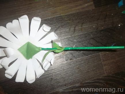 Квіти з щільного паперу своїми руками
