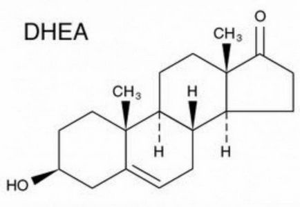 Дегідроепіандростерон (dhea) - гормон молодості, bartendaz