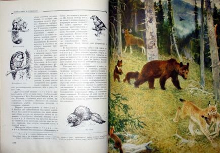 Enciclopedie pentru copii în 10 volume din 1961