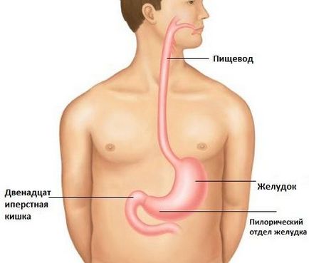 Dysphagia okok, tünetek, mértékét, a kezelés a szindróma, különösen gyermekek esetében, a funkcionális dysphagia