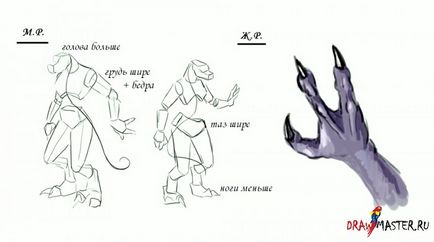 Design de caractere - crearea unei șopârle de lup