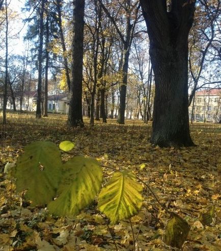 Látnivalók Fehéroroszország Stankovo