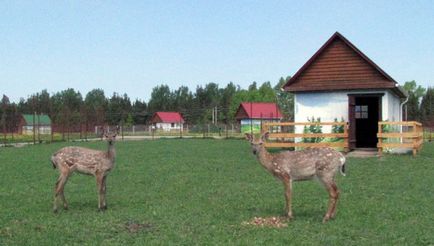 Obiective turistice din Belarus