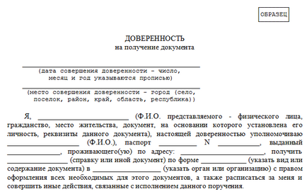 Довіреність в податкову на подачу і отримання документів зразок і правила заповнення