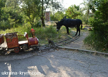 Eco-park orașul de copii Lukomorye descriere, recenzii, cum să obțineți, Sevastopol