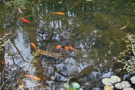 Excursie la Grădina Botanică