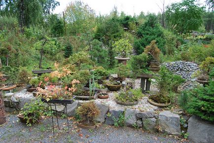 Excursie la Grădina Botanică