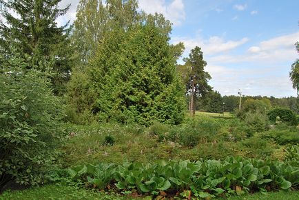 Екскурсія в ботанічний сад