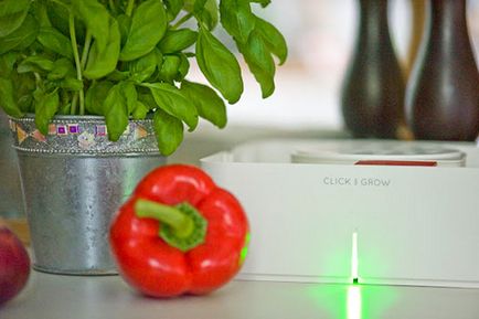 Grădinarul electronic sau istoria unei tomate de cireșe - gadget-uri - gadget-uri pe site-ul il de boté