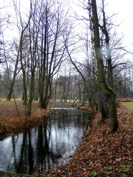 Fórum site „Globe Belarusz”