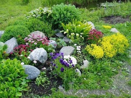 Album foto grădina mea, flori în grădină cu poezie
