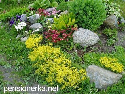 Фотоальбом мій сад, квіти на садовій ділянці з віршами