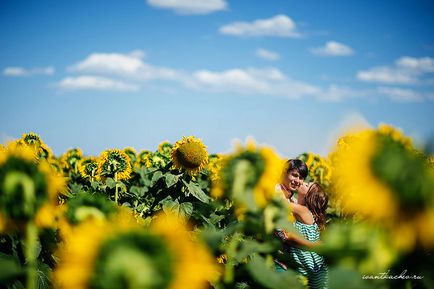 Fotograf în Volgograd - țesătură de salcie