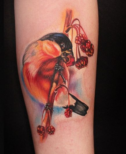 Fotografie și semnificația bullfinch tatuaje