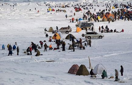 Unde este cel mai bun pescuit pe teritoriul Primorye