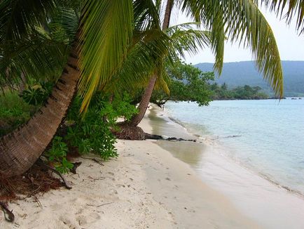 Де зустріти новий рік топ-10 країн для пляжного відпочинку, подорожі - моє життя!