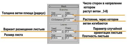 Generator de plante 3d (iedera), grafică pe calculator în exerciții