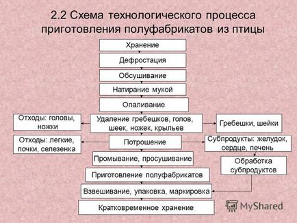 Глисти можуть з'їсти вашу коня зажівоне дозвольте їм зробити це, як виводити паразитів у коня