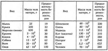 Гормони і вагітність