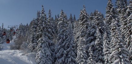 Гірськолижні курорти Болгарії