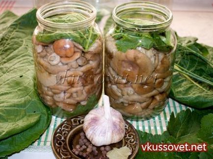 Gomba - Belyanko sózás forró módon, lépésről lépésre recept fotókkal (téli) Gomba - Belyanko sózás forró módon, lépésről lépésre recept fotók