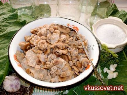 Gomba - Belyanko sózás forró módon, lépésről lépésre recept fotókkal (téli) Gomba - Belyanko sózás forró módon, lépésről lépésre recept fotók