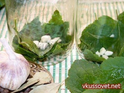 Gomba - Belyanko sózás forró módon, lépésről lépésre recept fotók (sózás) Gomba - Belyanko sózás forró módon, lépésről lépésre recept fotók