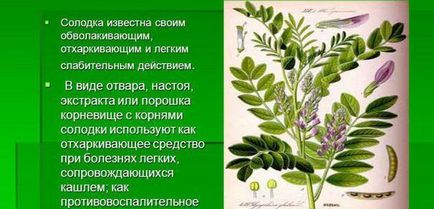 Інтерстиціальний цистит діагностика 3 важливі критерії, симптоми і лікування