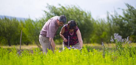 Din valea siliconului din aragyuh din Armenia vor fi produse cosmetice naturale - hetq -