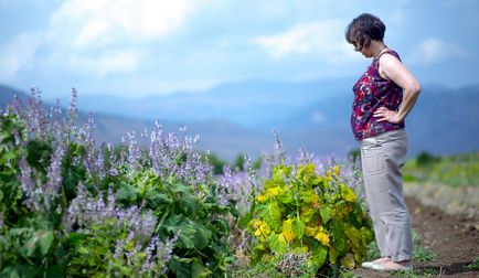 Din valea siliconului din aragyuh din Armenia vor fi produse cosmetice naturale - hetq -