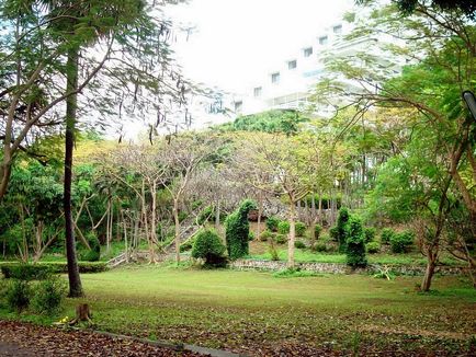 Jomtien condotel - orașul Pattaya, Thailanda - netzim