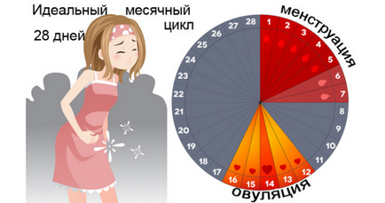 Melyik hormon tabletták növelése mell