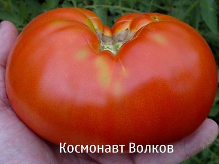 Які найсолодші сорти помідорів