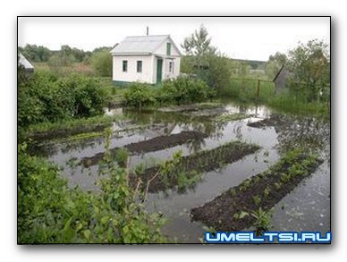 Як позбутися від води на ділянці способи вирішення проблеми