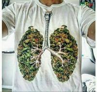 Як курити марихуану і зберегти ваші легені здоровими - лайфхак растамана - СФК - grower