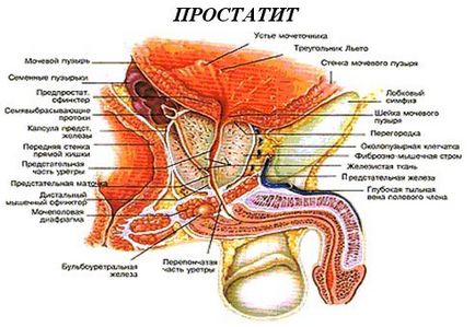 Cum se trateaza prostatita