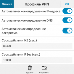 Cum se configurează vpn pe BlackBerry (id, bbm, world, protect)