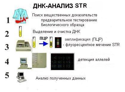 Як обдурити ДНК тест