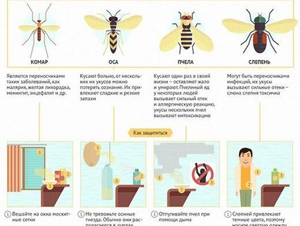 Hogyan elriasztani a szúnyogokat segítségével népi jogorvoslat, az örök kérdés, kérdés-válasz, érveket és tényeket