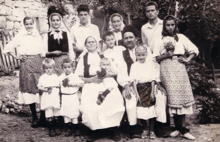 Cum se cheamă membrii familiei în limba sârbă?