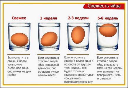 Як приготувати ідеальний бісквіт в домашніх умовах