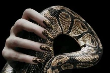 Як зробити зміїний дизайн нігтів модні технології, гарні нігті - додаток твого образу